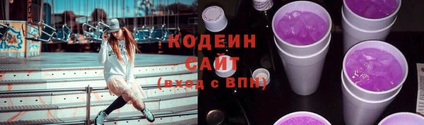 дживик Дубна