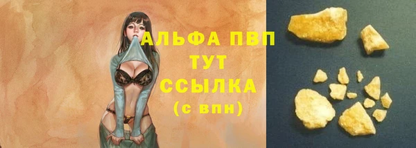 дживик Дубна