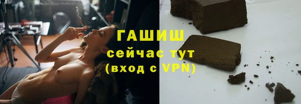 дживик Дубна