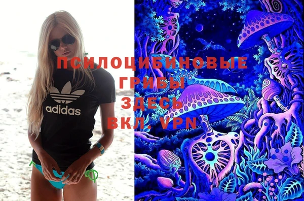 дмт Дубовка