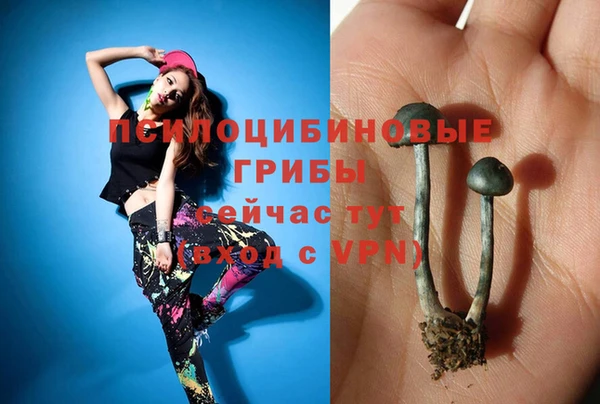 дживик Дубна