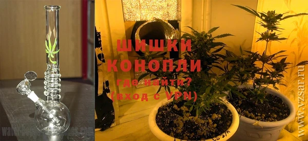 дживик Дубна