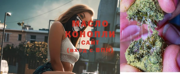 дживик Дубна
