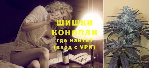 дживик Дубна