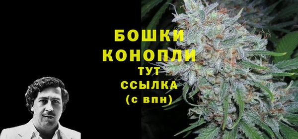 дживик Дубна