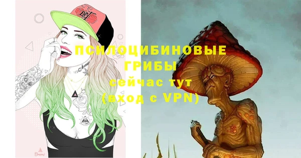 дмт Дубовка